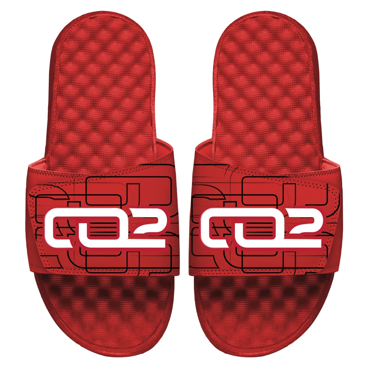 CO2 Signature Slides