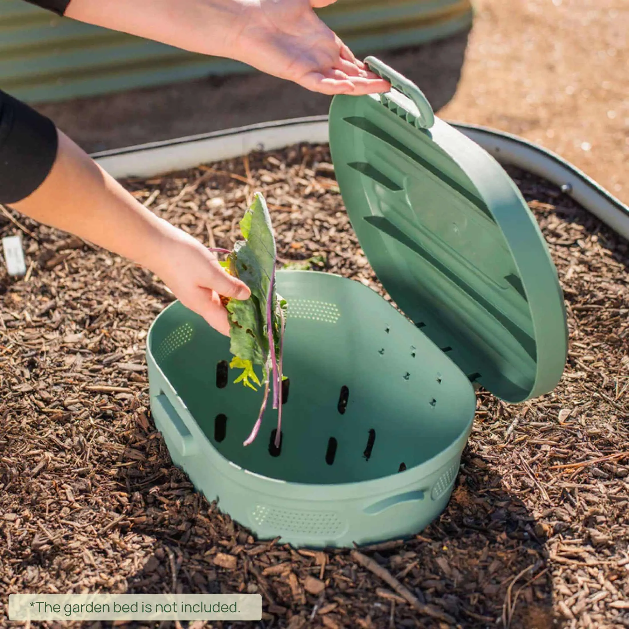 In-Ground Worm Composter