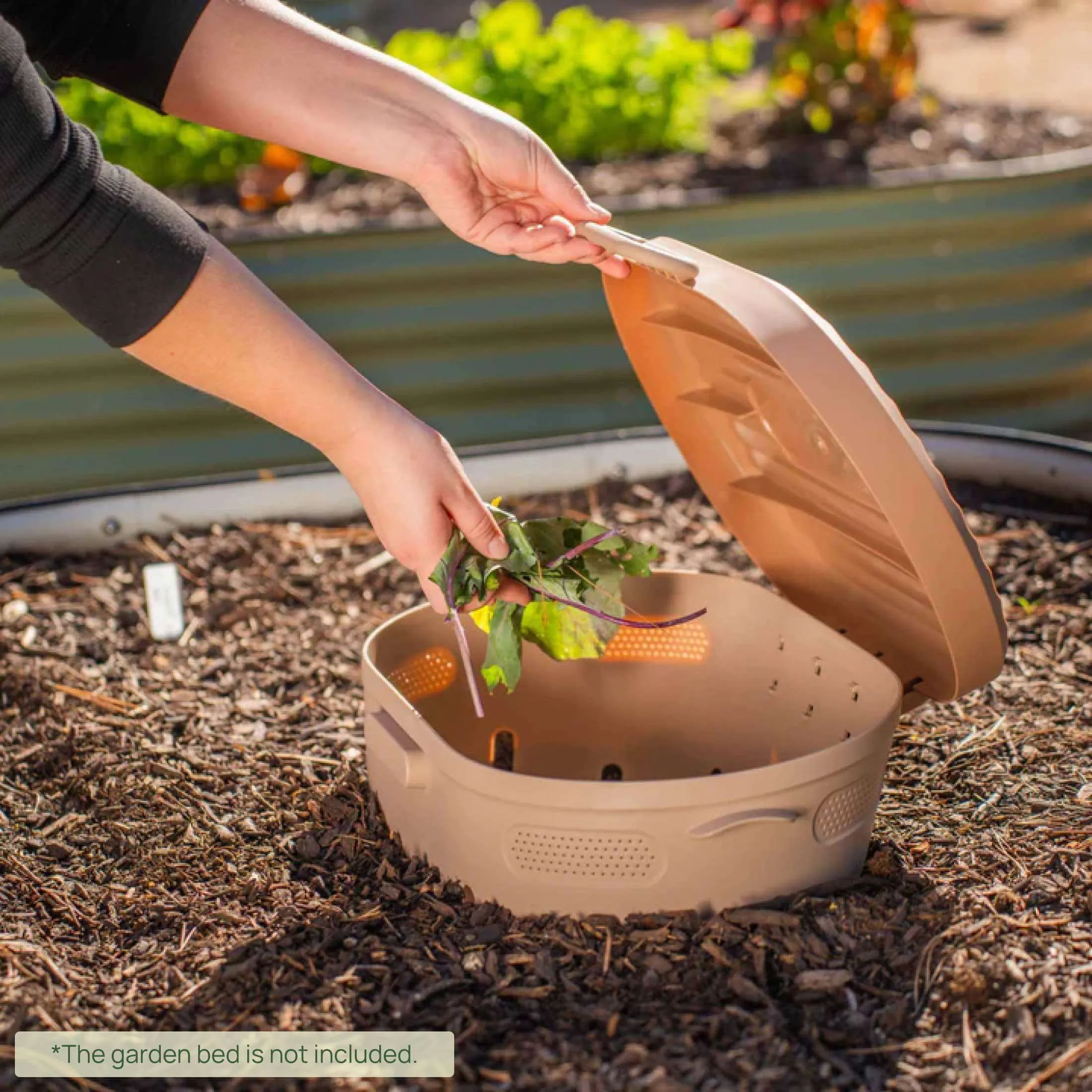 In-Ground Worm Composter