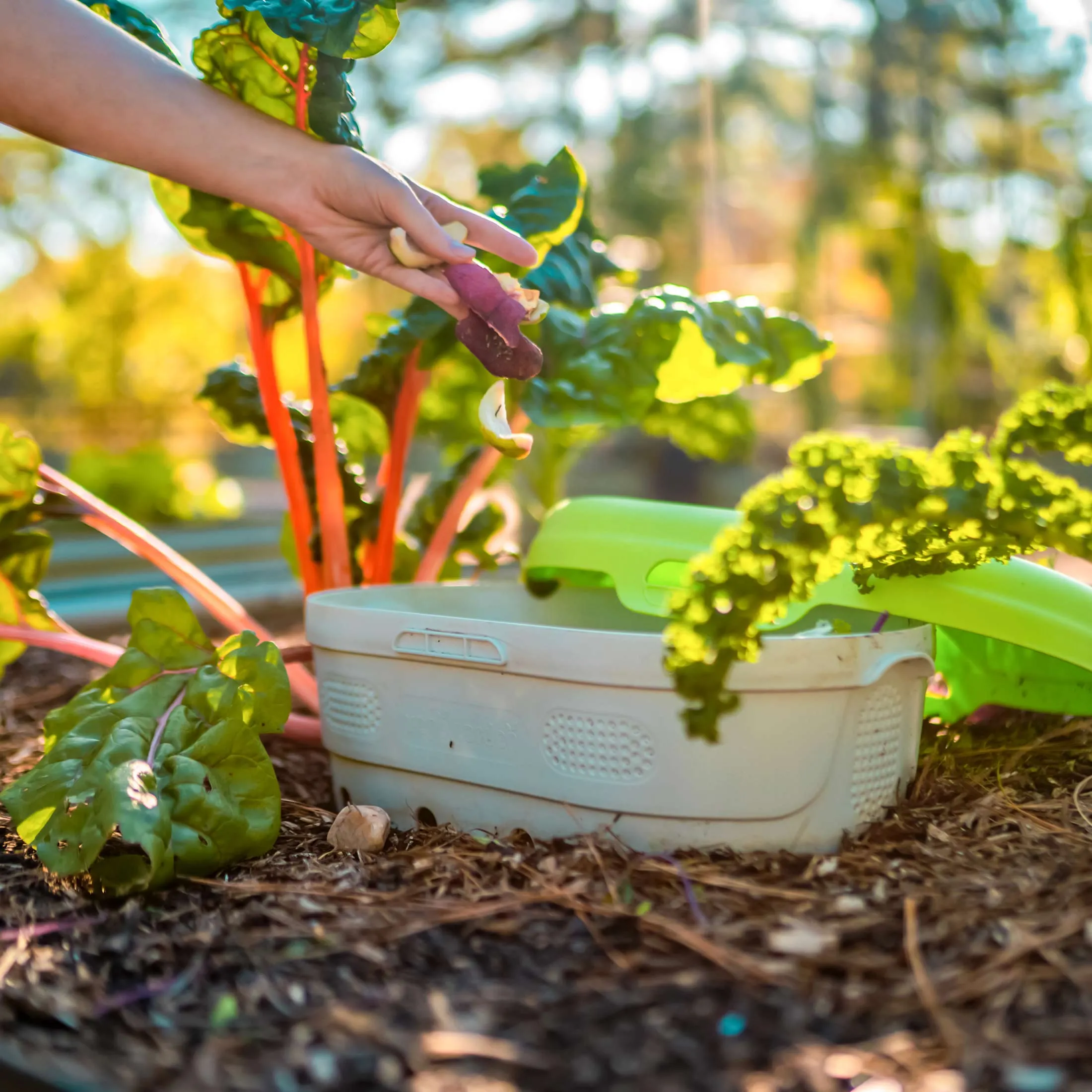 In-Ground Worm Composter