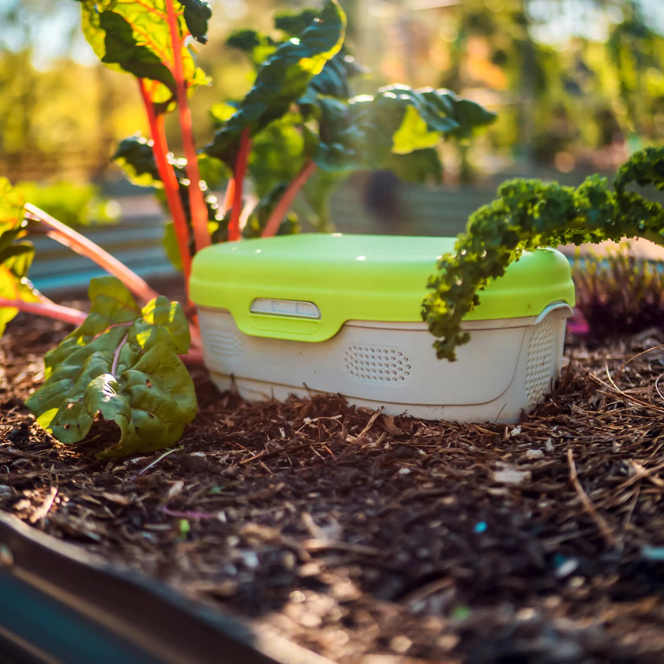 In-Ground Worm Composter