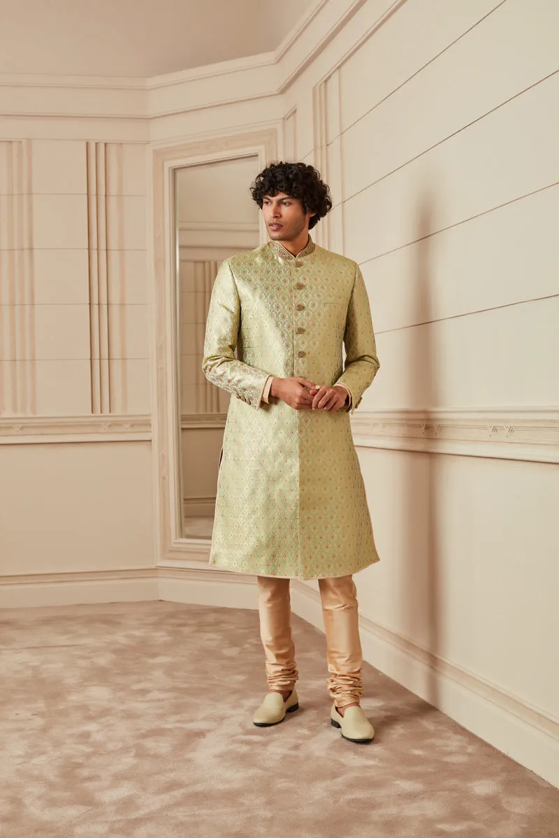 Light Green All Over Embroidered Sherwani